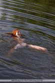 Filename=Vada_The_Lake_House_011.jpg
Filesize=206KiB
Dimensions=800x1200
Date added=Mar 28, 2021 Vada_The_Lake_House_011.jpg