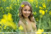 Linda_A_Field_Of_Gold_004.jpg